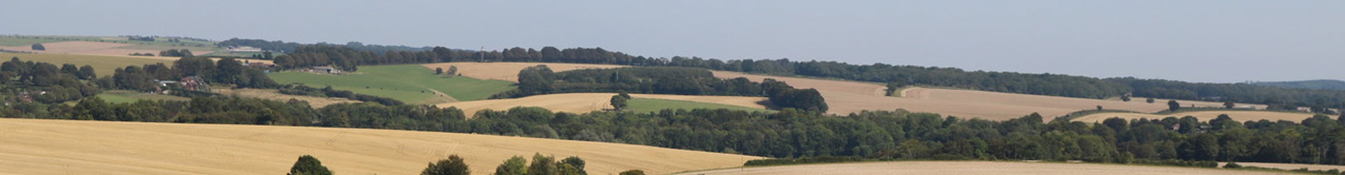 Estate Agents in Hampshire